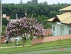 Casa Alto Padrão - Condomínio Flora Ville em Boituva